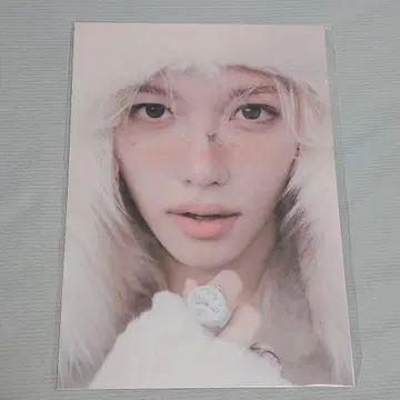 Stray Kids 필릭스 비니 포스터