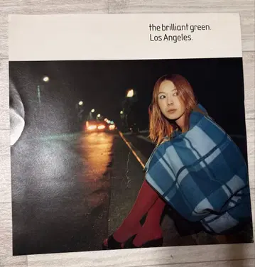 the brilliant green 로스앤젤레스 LP 사이즈 포스터