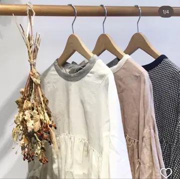 늑대와 안개를 젓는 루비 늑대와 올빼미