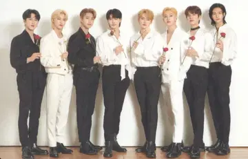 StrayKids 집합 NACIFIC 콜라보 정렬