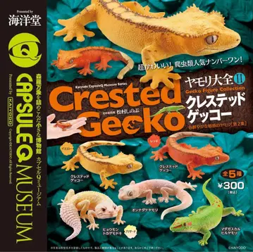 생물 가챠가챠 묶음 판매