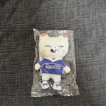 straykids 스키즈 지니렛 백참