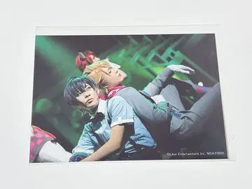 에이스테 시 마스미 브로마이드