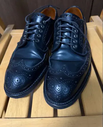 Alden 알든 새상품급 별주 모델 D9506C 코도반