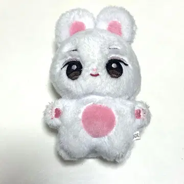 ZB1 한유진 인형