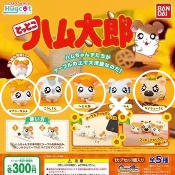 하그코트 톱토코 햄스터볼 4종 세트