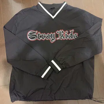 스키즈 dominATE Japan 굿즈