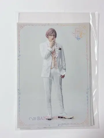 에이스테 셋츠 반리 솔로 브로마이드