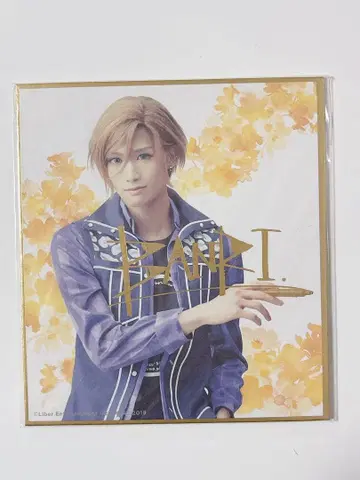 에이스테 셋츠 반리 스탠드 미니 색지