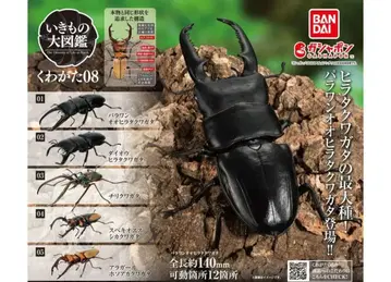 생물대도감 장수풍뎅이08 전5종