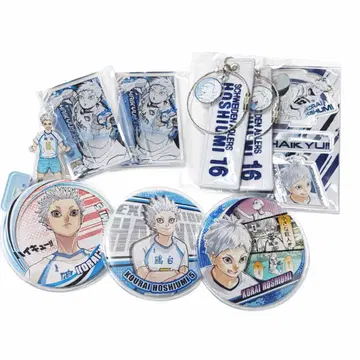 하이큐!! 호시우미 코라이 캔뱃지 아크릴 블록 세트