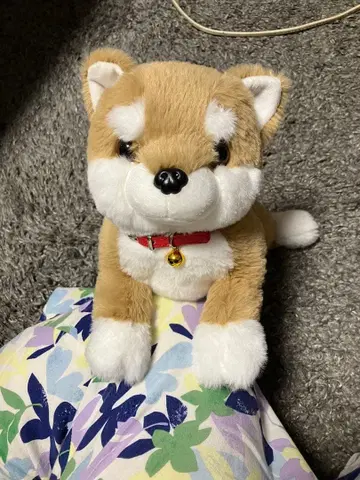 시바견 봉제 인형 38cm