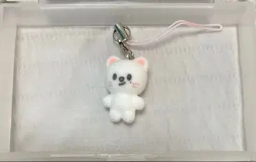 Stray kids 스키즈 팬미팅 미니 참 지니렛 현진