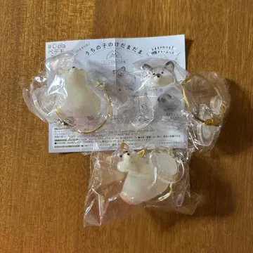 우리 집 강아지 털뭉치 시바견 3개 세트