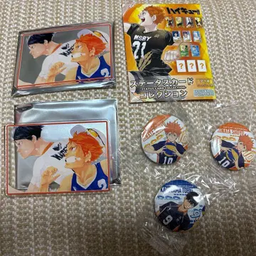 하이큐 히나타 쇼요 카게야마 토비오