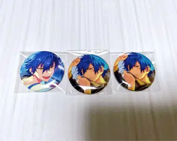 앙스타 사자나미 쥰 테마 스카우트 이베코레 캔뱃지 EXCEED