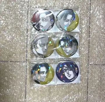 진격의 거인 애니크 캔뱃지 리바이 엘빈 한지 엘렌