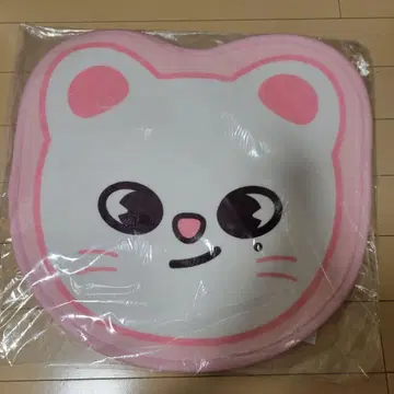 straykids 스키즈 skzoo 진니레트 현진 미니카 펫