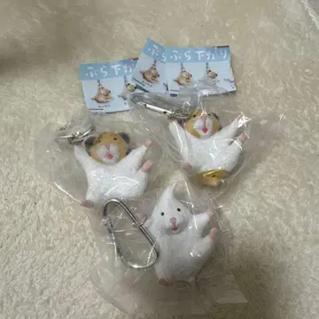 매달리는 햄스터