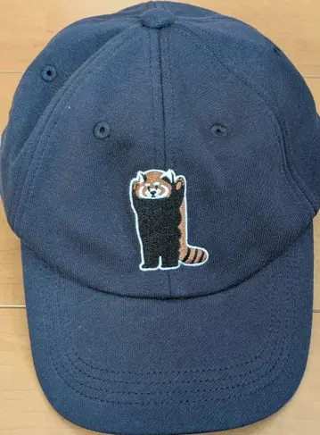 새상품 그라니프 IKAKU FRUIT OF THE ROOM 캡