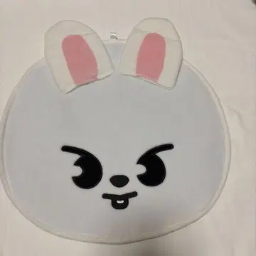 straykids skzoo 부채 커버