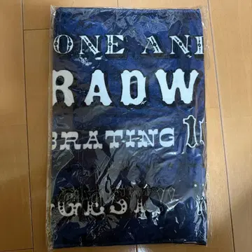 RADWIMPS 10주년 Live 타월