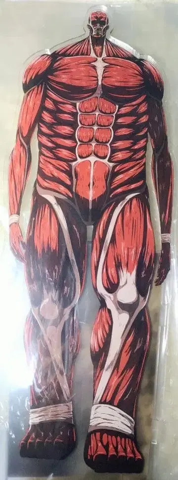 진격의 거인 초거대 거인 아크릴 메가 피규어 미개봉 새상품 아크릴 스탠드