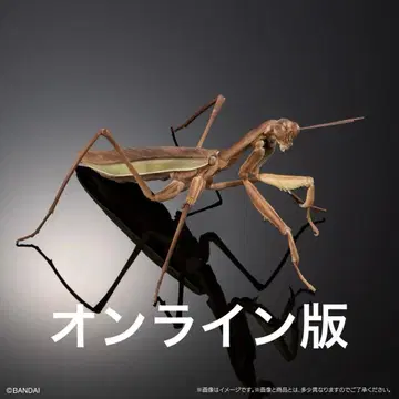 생물대도감 어드밴스 오오사마귀 갈색형 온라인판