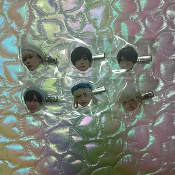 러브시크 헤어핀 묶음 판매