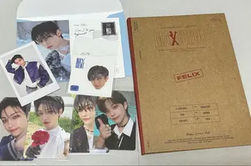 straykids 스키즈 필릭스 피리 MAXIDENT 트레이딩 카드 굿즈