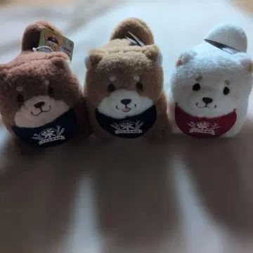 시바견풍 봉제 인형 3종 세트