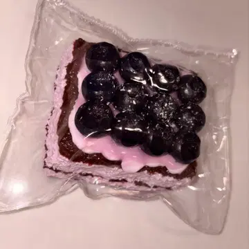 kikisquishy 스퀴즈 블루베리 L 사이즈