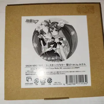 보컬로이드 하츠네 미쿠 유키 미쿠 2025 파브 거울