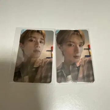 야마나카 유타로 트레이딩 카드