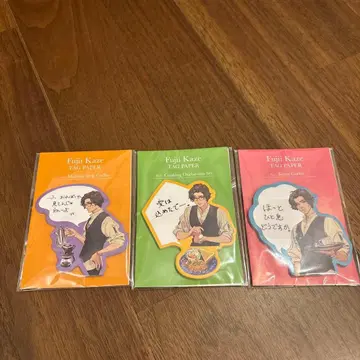 후지이 카제 택 페이퍼 3권