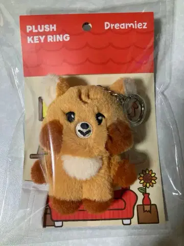 NCT DREAM Dreamiez 해찬 HAECHAN jjopoo