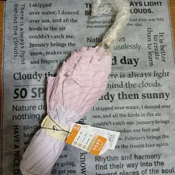 질스튜어트 양산