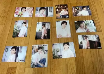 KENN 왕 정글 나고야 사진 포토 세트 브로마이드 핑크