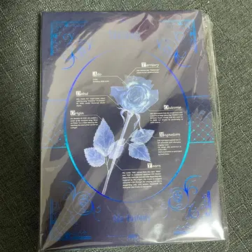 Ado 파란 장미 디자인 미개봉 상품