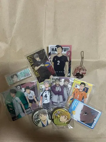 하이큐!! 미야 아츠무, 미야 오사무, 오이카와 토오루 등