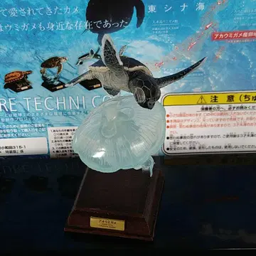 네이처 테크니컬러 일본의 거북 특장판 푸른바다거북 (유체)