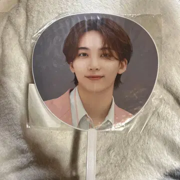 SEVENTEEN 정한 부채