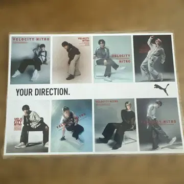 PUMA VELOCITY NITRO 스티커 SnowMan