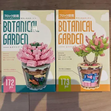 보타니컬 가든 세데베리아 & 에케베리아 세트