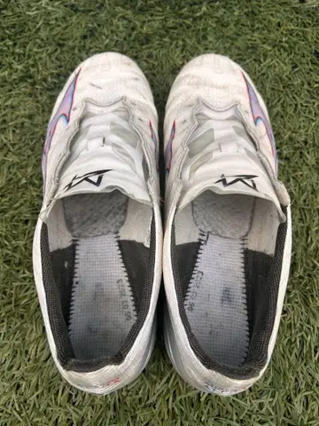 미즈노 알파 프로