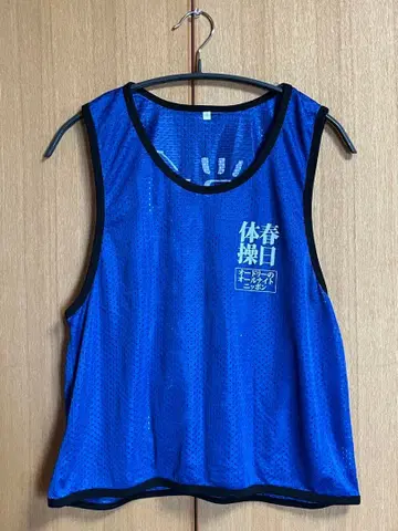 오드리 의 올나이트닛폰 카스가 체조 빕스