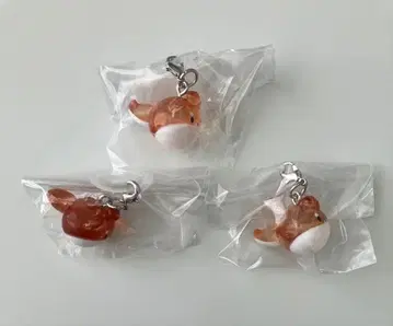 Crazy Raccoon CR Fes 2026 메지루시 액세서리