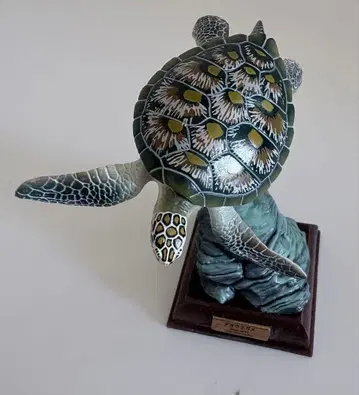 네이처 테크니컬러 오가사와라 특장판 푸른바다거북