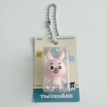 DAY6 The DECADE 피규어 키링 원필 PIL