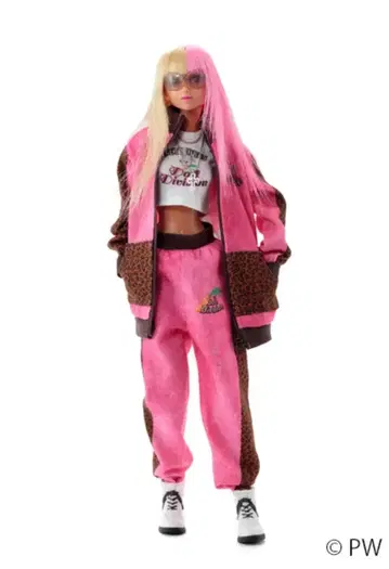 새상품 반려동물 웍스 CCS-momoko 25AN momoko bk